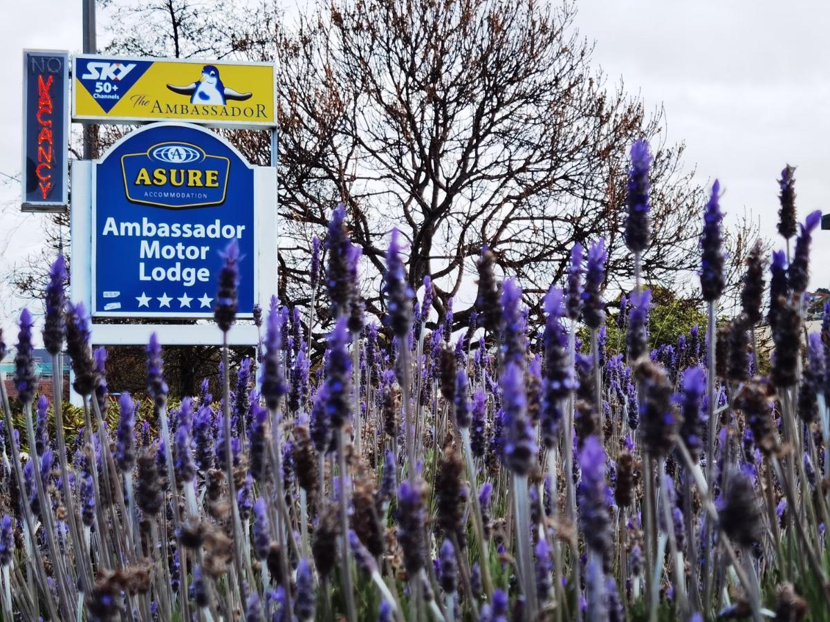 Asure Ambassador Motor Lodge Oamaru Exterior photo